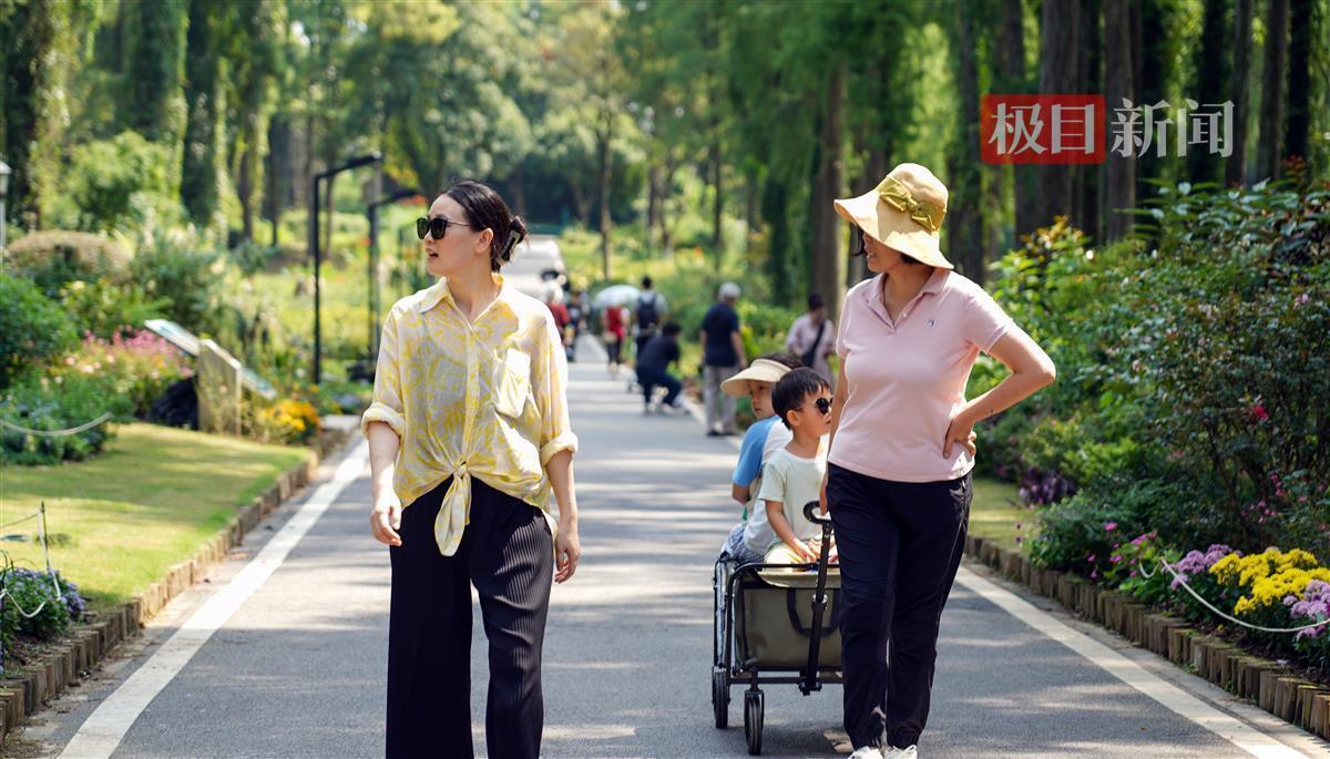 天九娱乐注册网址